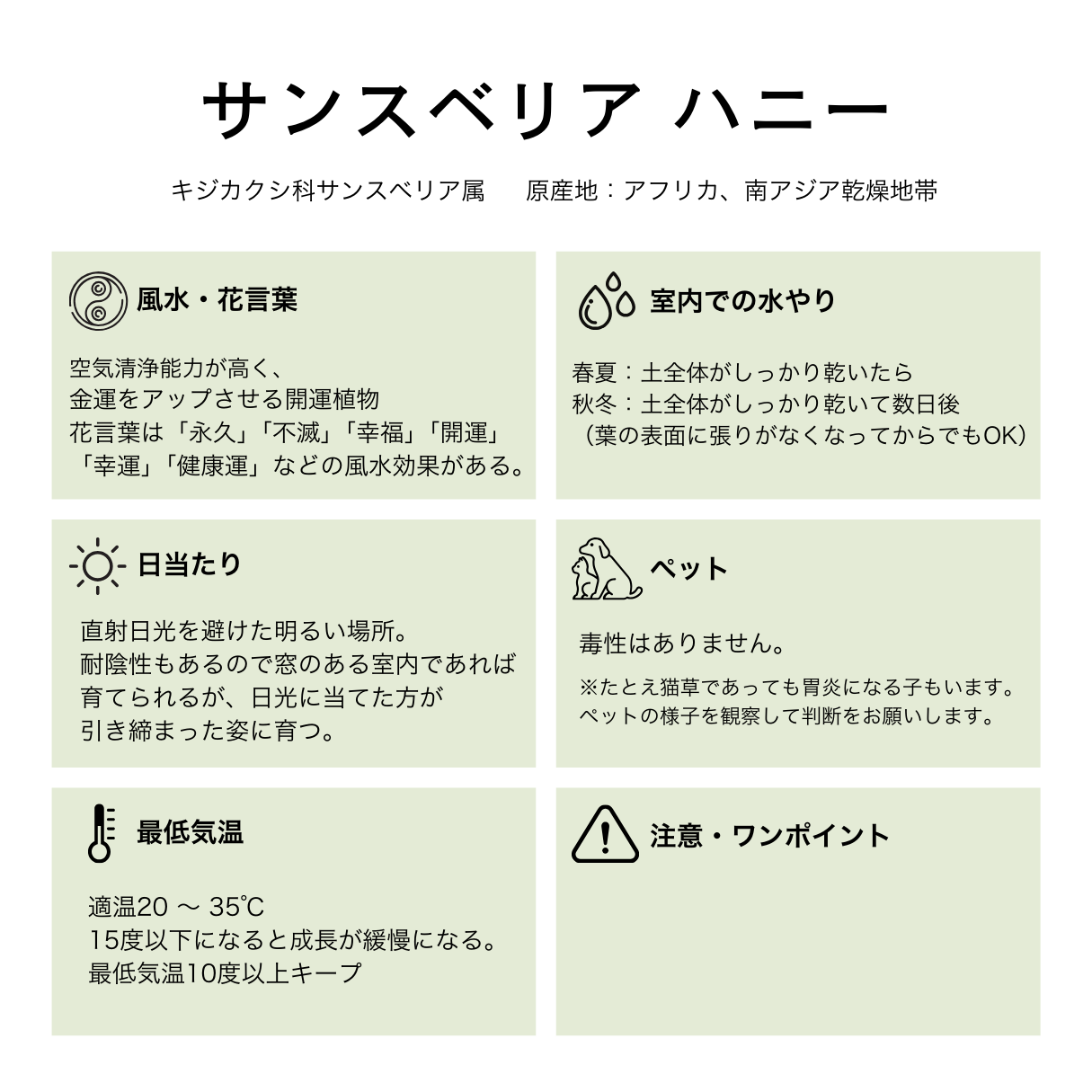 サンスベリア ハニー グリーン